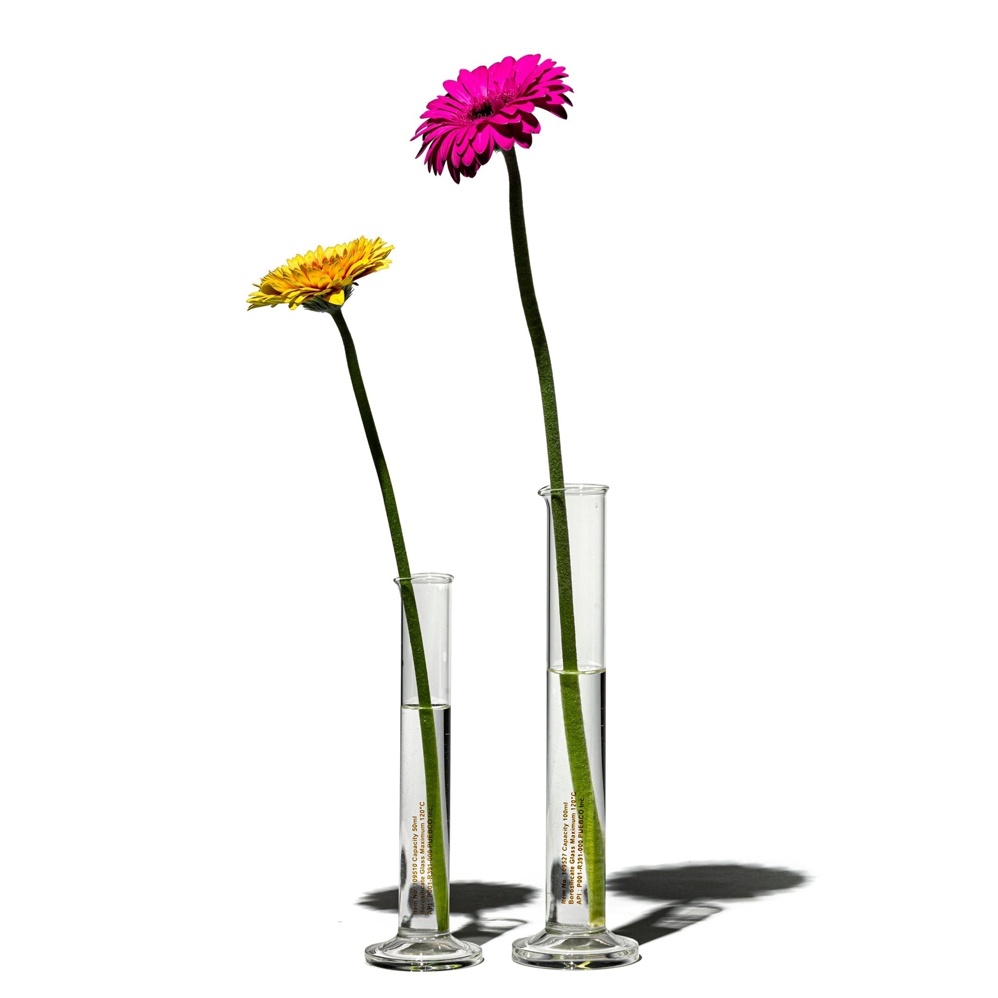 PUEBCO SINGLE FLOWER VASE / 100ml