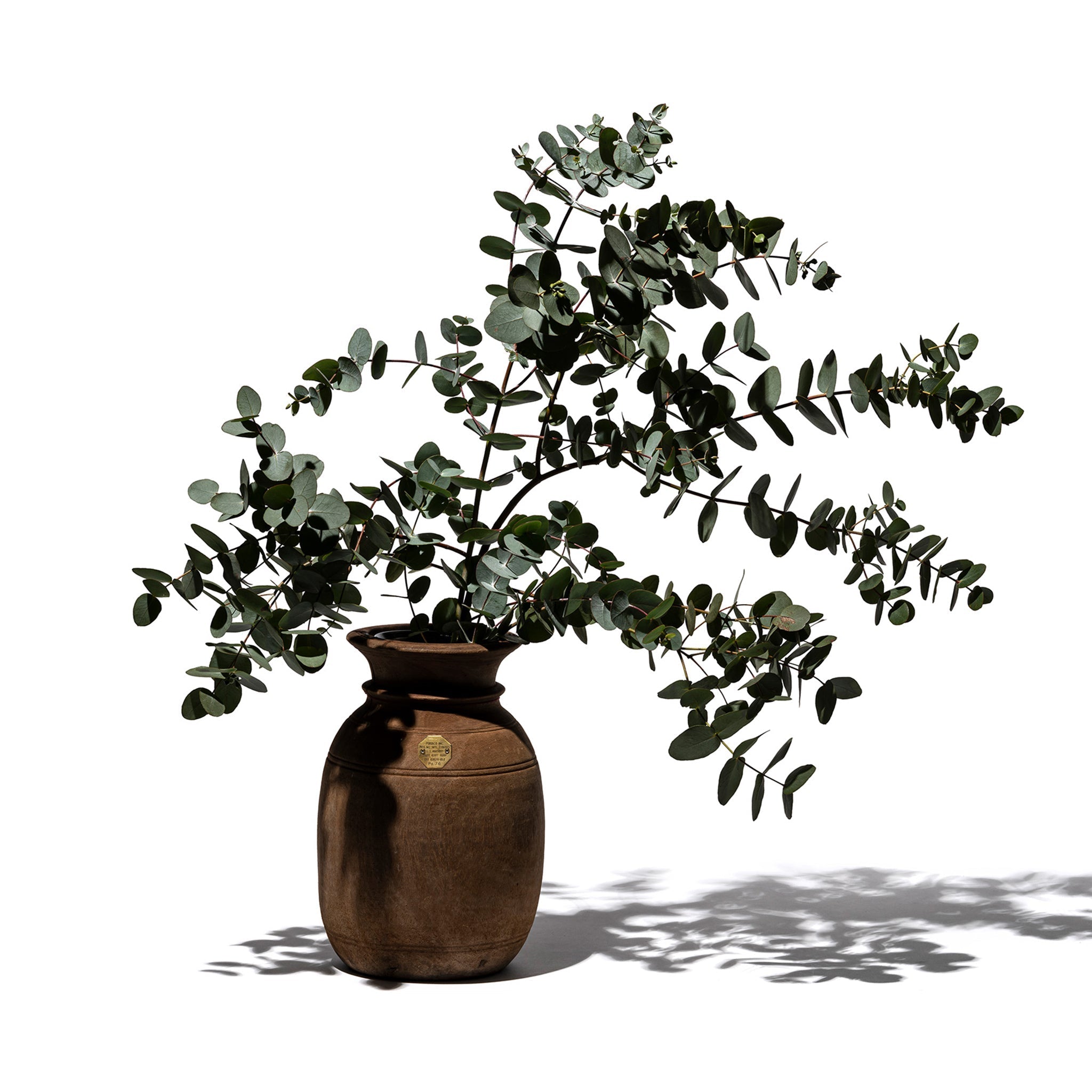 PUEBCO VINTAGE WOODEN POT W/GLASS CYLINDER