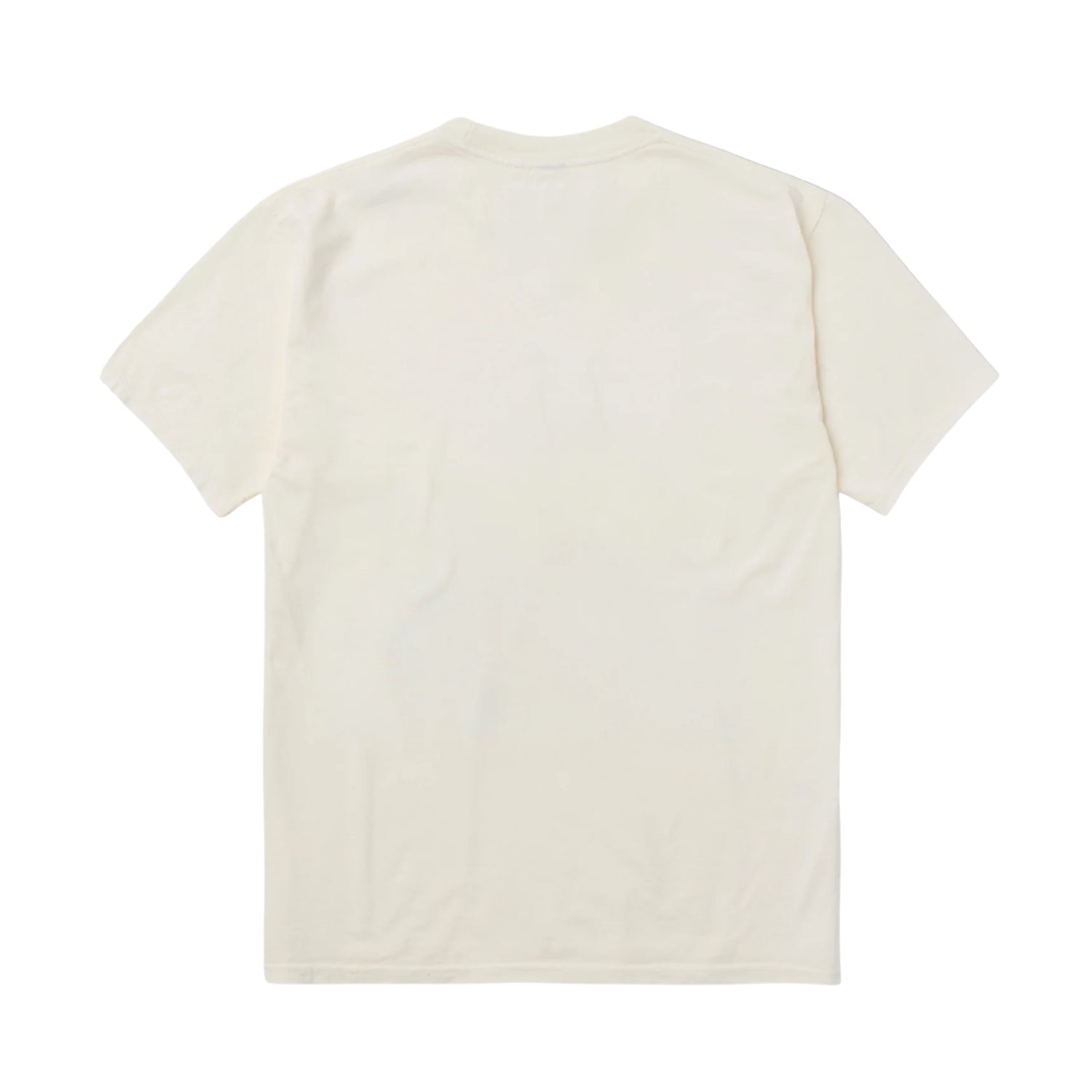 ONE OF THESE DAYS ACROSS THE PLAINS TEE - BONE