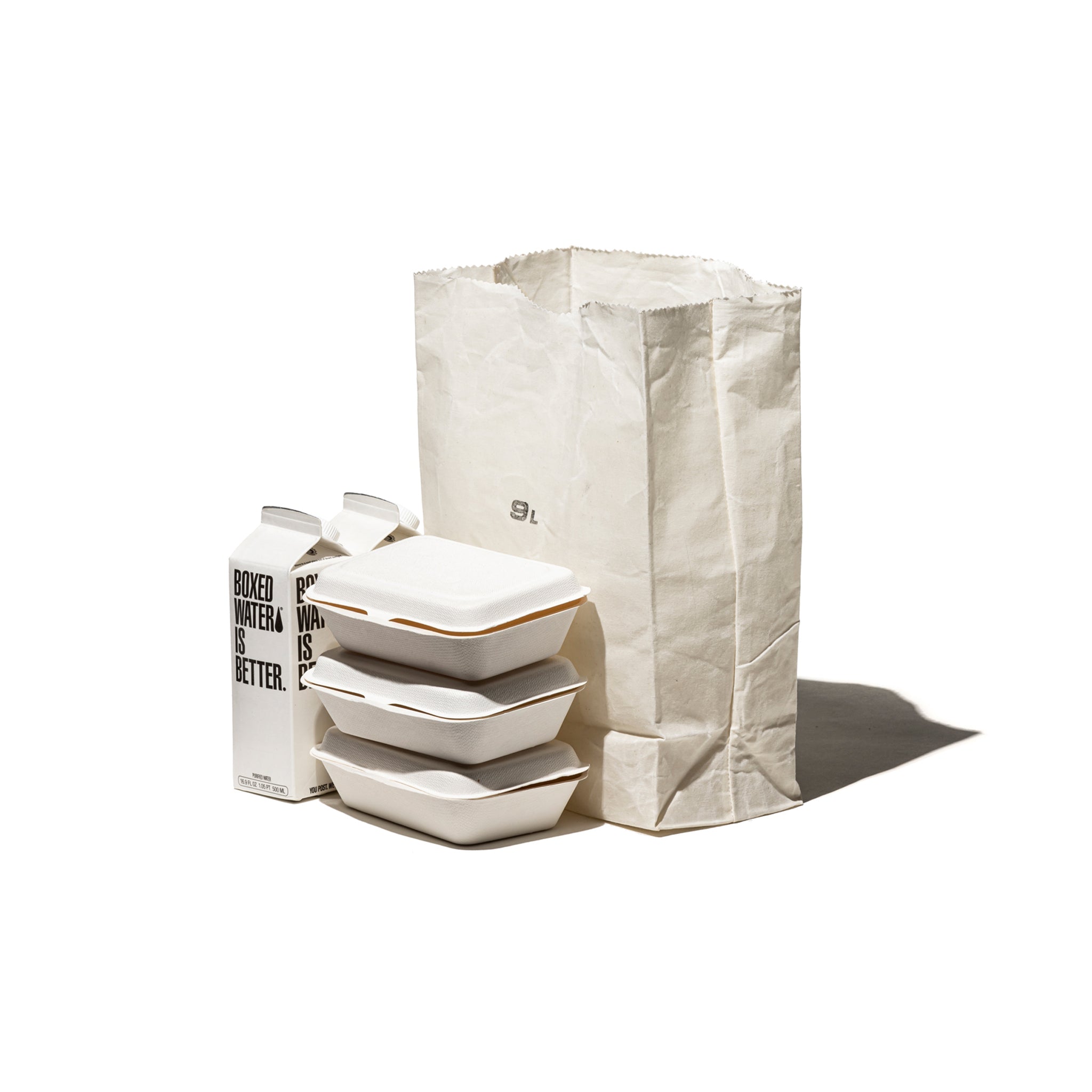 PUEBCO GROCERY BAG / 9L