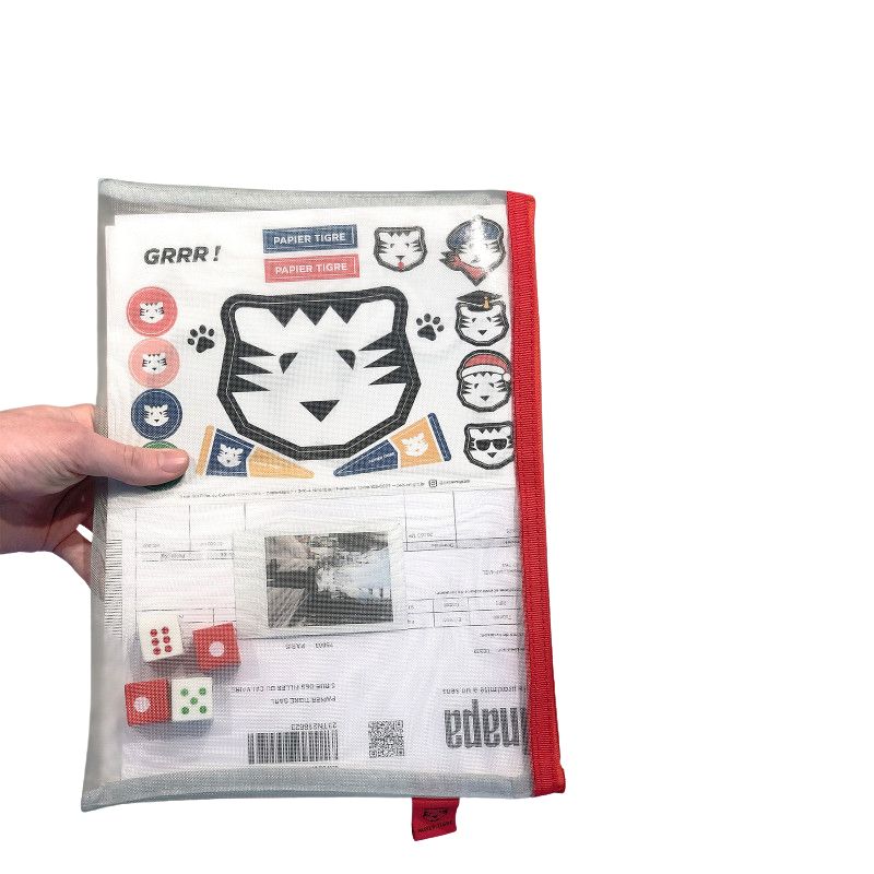 PAPIER TIGRE POCHETTE MESH L - VERT D'EAU