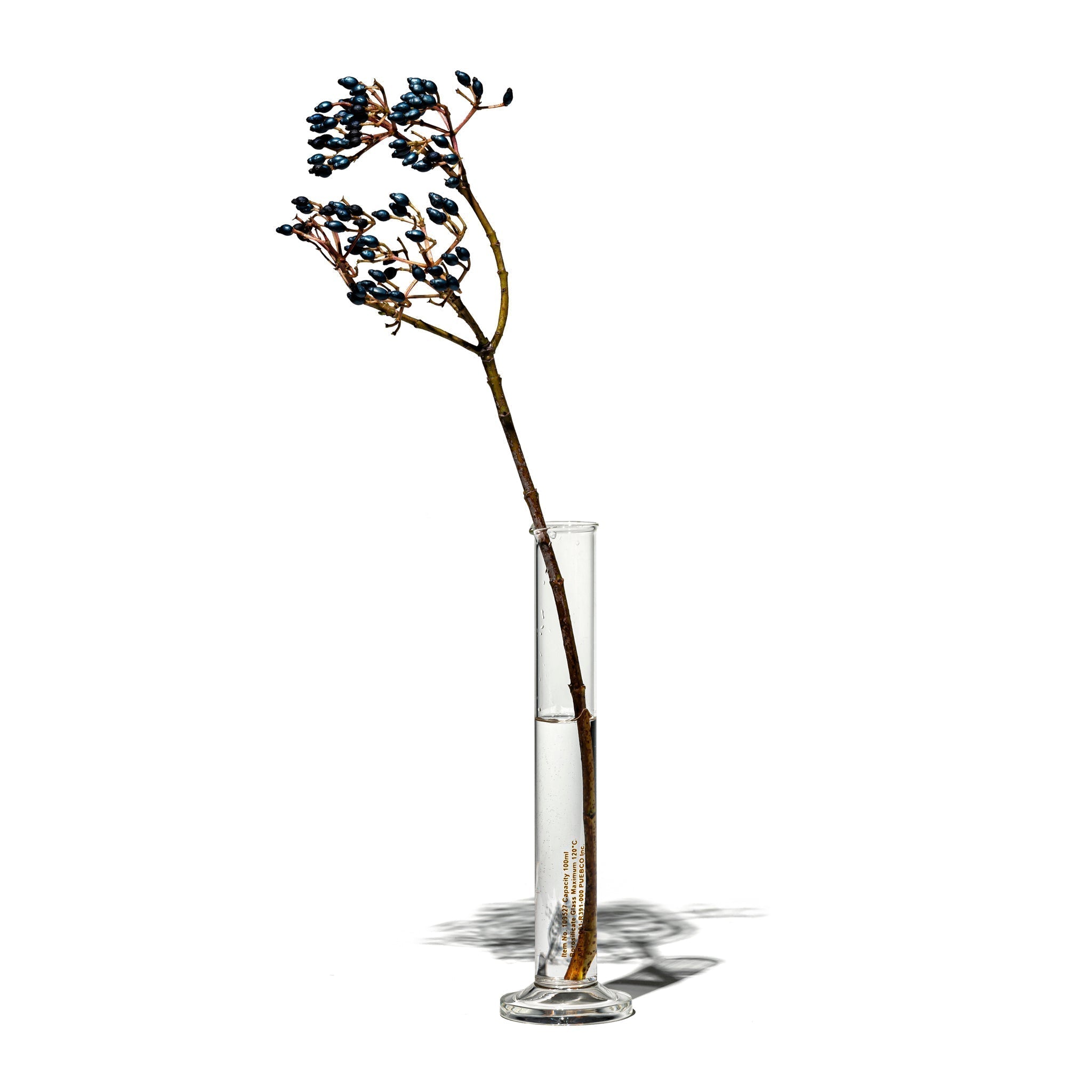 PUEBCO SINGLE FLOWER VASE / 100ml