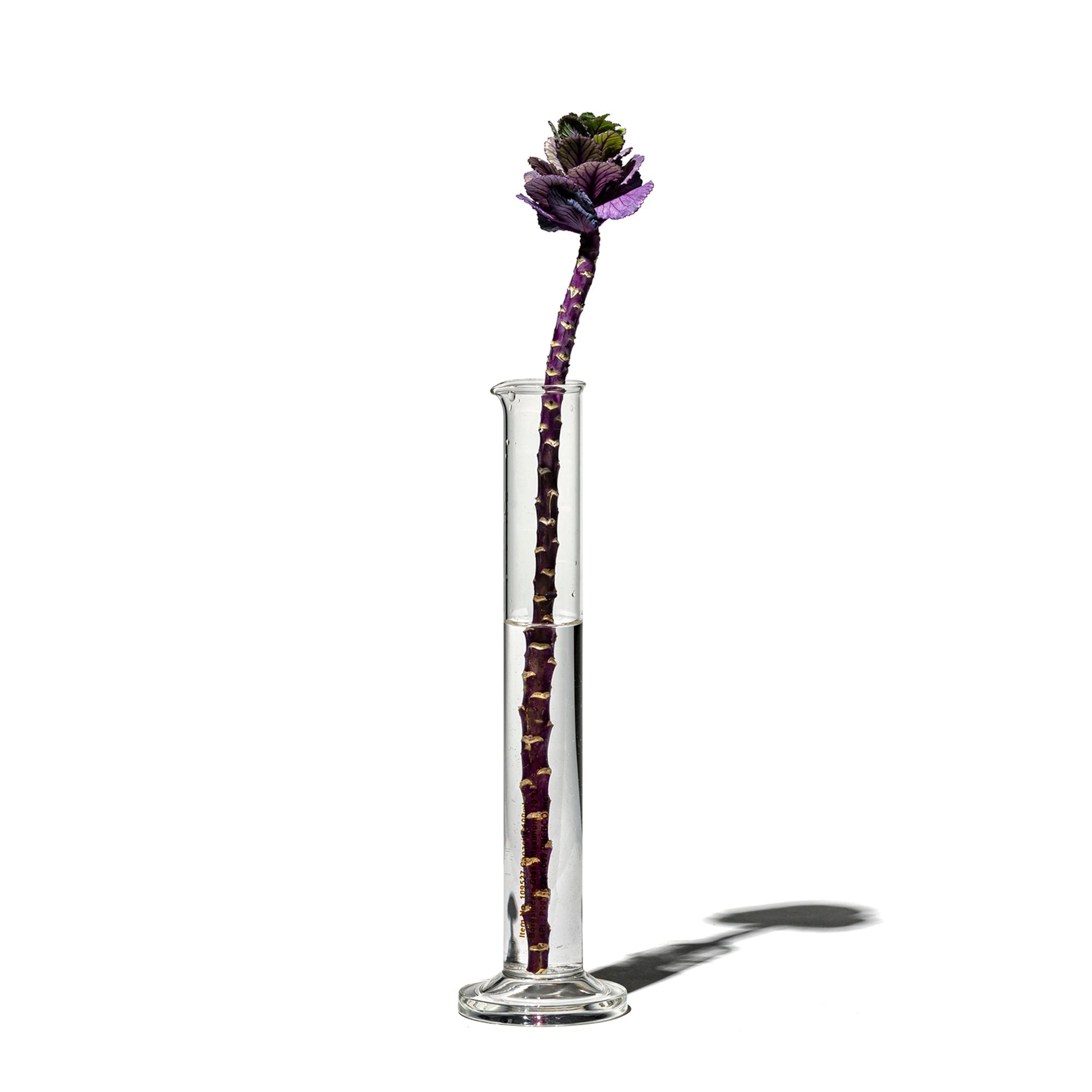 PUEBCO SINGLE FLOWER VASE / 100ml