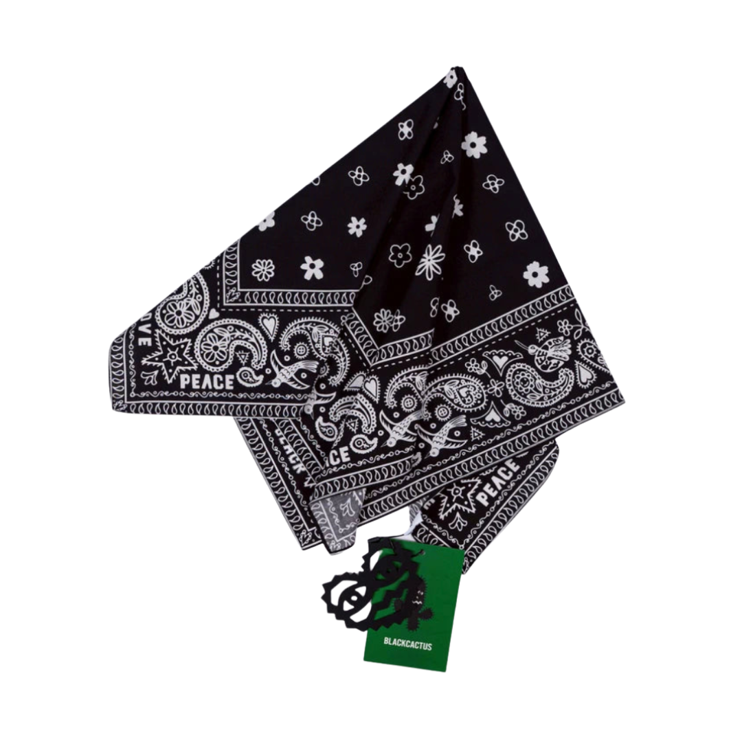 BLACK CACTUS BS376 BLACK PAISLEY BANDANA
