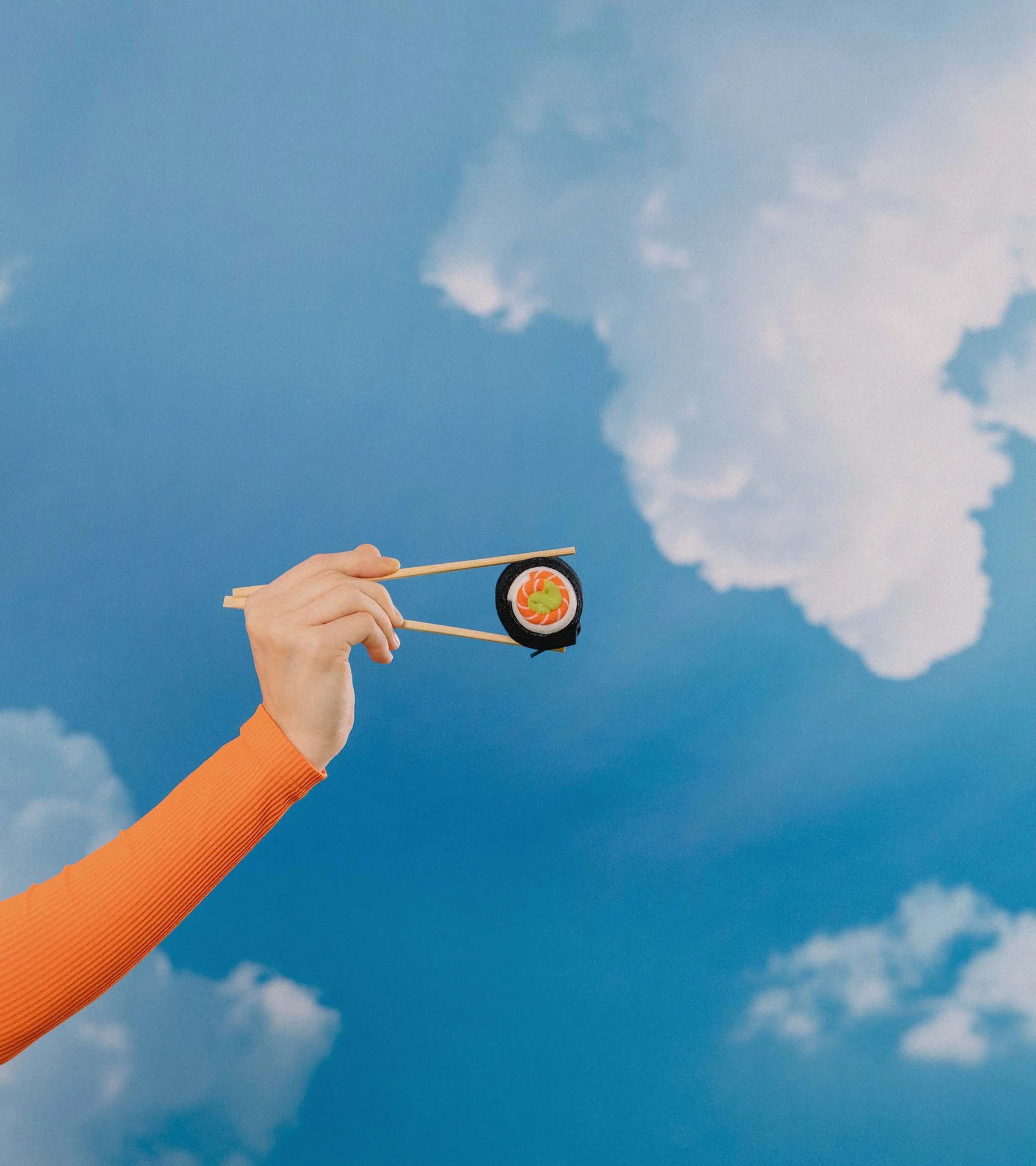 EAT MY SOCKS - SALMON MAKI